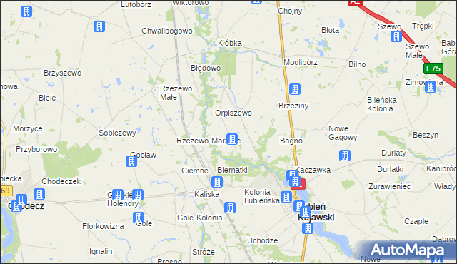 mapa Krzewie Drugie, Krzewie Drugie na mapie Targeo