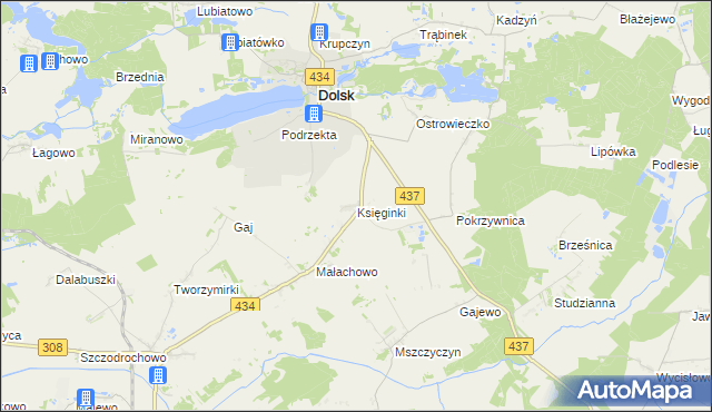 mapa Księginki gmina Dolsk, Księginki gmina Dolsk na mapie Targeo