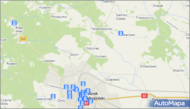 mapa Kurowo gmina Grodzisk Wielkopolski, Kurowo gmina Grodzisk Wielkopolski na mapie Targeo