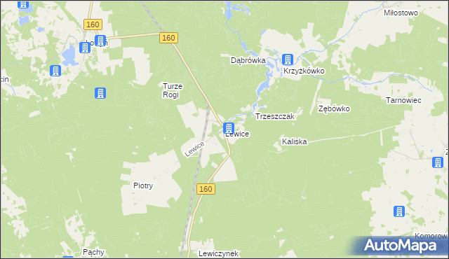 mapa Lewice gmina Międzychód, Lewice gmina Międzychód na mapie Targeo