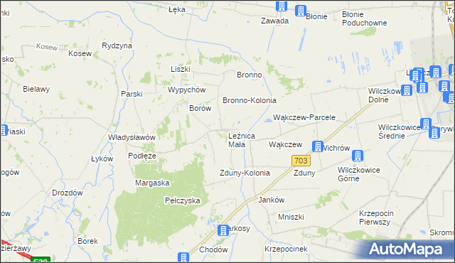 mapa Leźnica Mała, Leźnica Mała na mapie Targeo