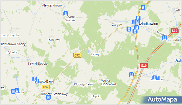 mapa Lipiny gmina Dziadkowice, Lipiny gmina Dziadkowice na mapie Targeo