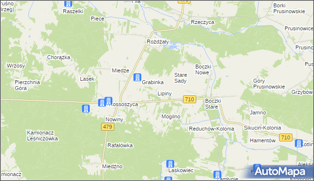 mapa Lipiny gmina Warta, Lipiny gmina Warta na mapie Targeo