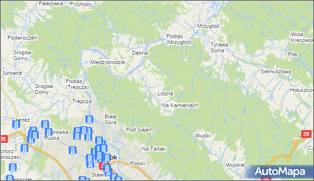 mapa Liszna gmina Sanok, Liszna gmina Sanok na mapie Targeo