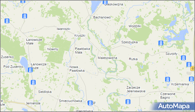 mapa Malesowizna, Malesowizna na mapie Targeo