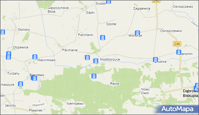 mapa Modliborzyce gmina Dąbrowa Biskupia, Modliborzyce gmina Dąbrowa Biskupia na mapie Targeo