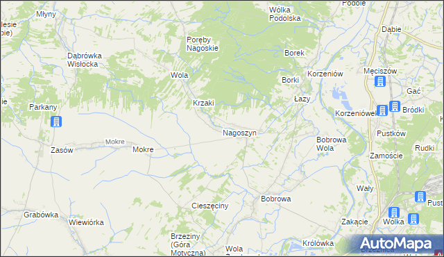 mapa Nagoszyn, Nagoszyn na mapie Targeo