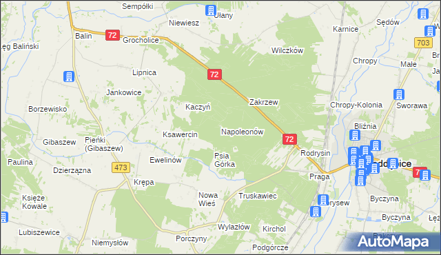 mapa Napoleonów gmina Poddębice, Napoleonów gmina Poddębice na mapie Targeo