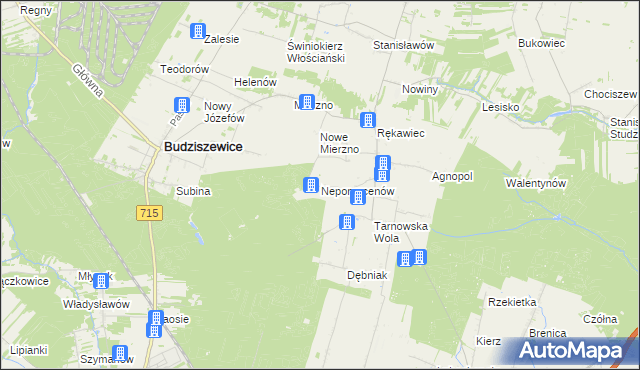 mapa Nepomucenów gmina Budziszewice, Nepomucenów gmina Budziszewice na mapie Targeo