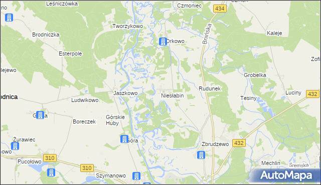 mapa Niesłabin, Niesłabin na mapie Targeo
