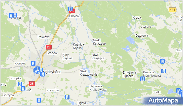 mapa Niwki Książęce gmina Międzybórz, Niwki Książęce gmina Międzybórz na mapie Targeo