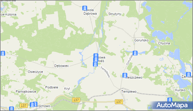 mapa Nowa Wieś gmina Bledzew, Nowa Wieś gmina Bledzew na mapie Targeo
