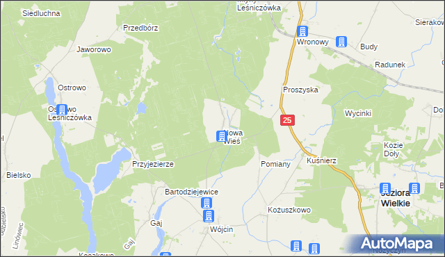 mapa Nowa Wieś gmina Jeziora Wielkie, Nowa Wieś gmina Jeziora Wielkie na mapie Targeo