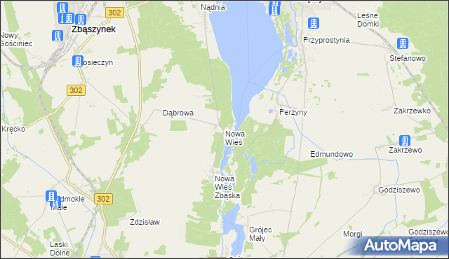 mapa Nowa Wieś gmina Zbąszyń, Nowa Wieś gmina Zbąszyń na mapie Targeo