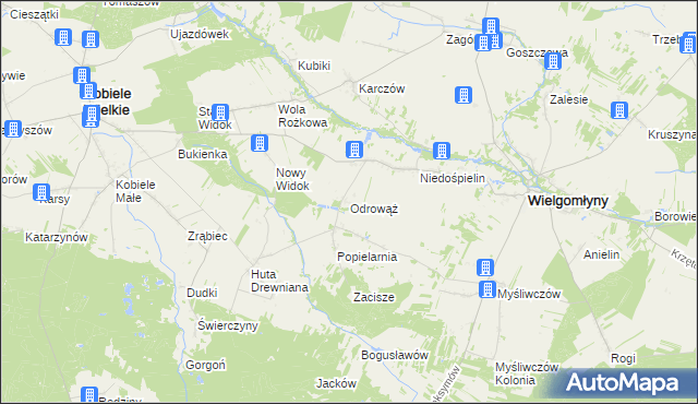 mapa Odrowąż gmina Wielgomłyny, Odrowąż gmina Wielgomłyny na mapie Targeo