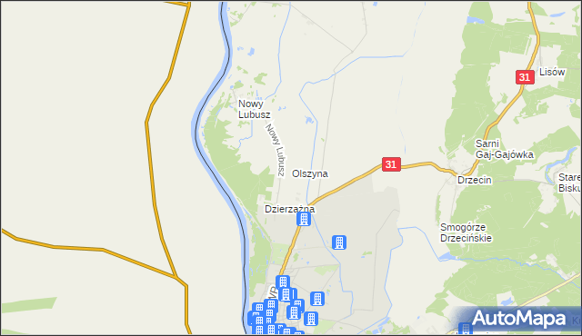 mapa Olszyna gmina Słubice, Olszyna gmina Słubice na mapie Targeo