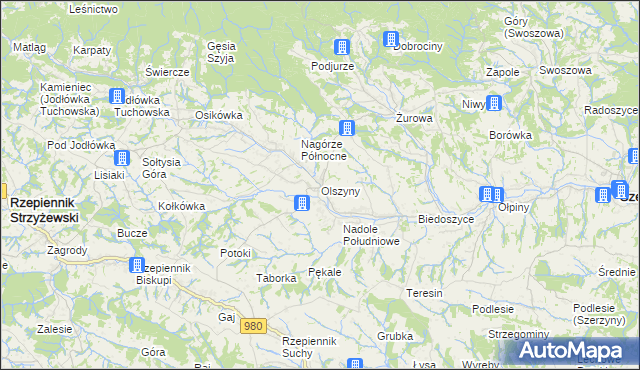 mapa Olszyny gmina Rzepiennik Strzyżewski, Olszyny gmina Rzepiennik Strzyżewski na mapie Targeo