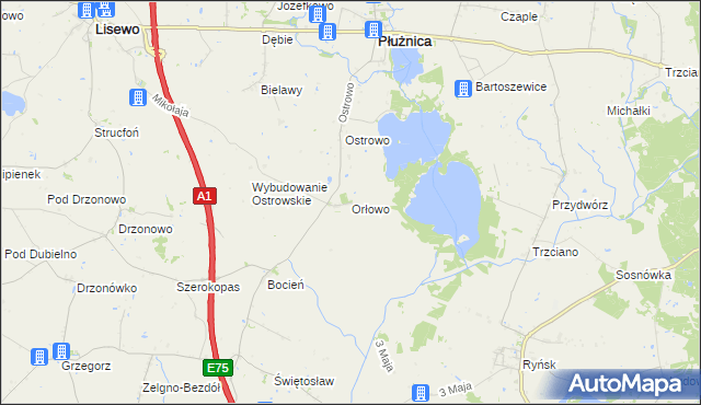 mapa Orłowo gmina Płużnica, Orłowo gmina Płużnica na mapie Targeo