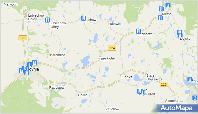 mapa Orzechów gmina Cedynia, Orzechów gmina Cedynia na mapie Targeo