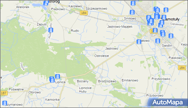 mapa Ostrolesie, Ostrolesie na mapie Targeo