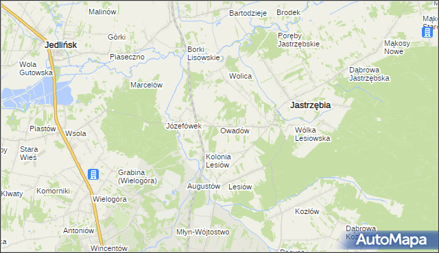 mapa Owadów gmina Jastrzębia, Owadów gmina Jastrzębia na mapie Targeo