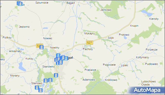 mapa Pachoły gmina Dzierzgoń, Pachoły gmina Dzierzgoń na mapie Targeo