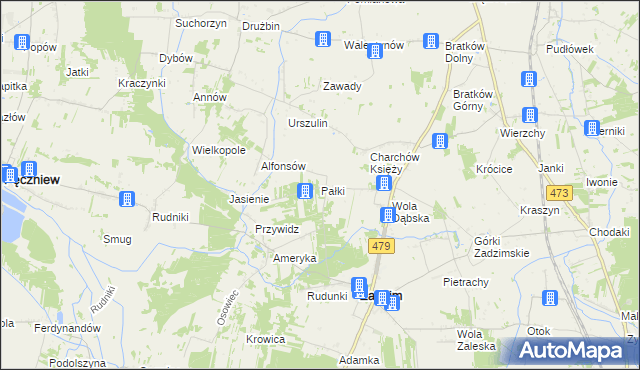 mapa Pałki gmina Zadzim, Pałki gmina Zadzim na mapie Targeo