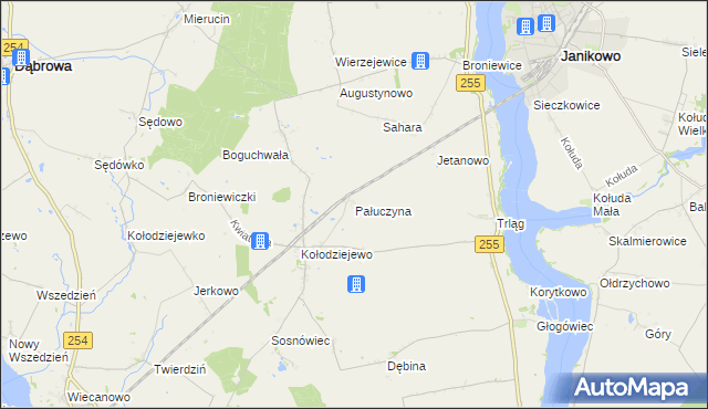 mapa Pałuczyna, Pałuczyna na mapie Targeo