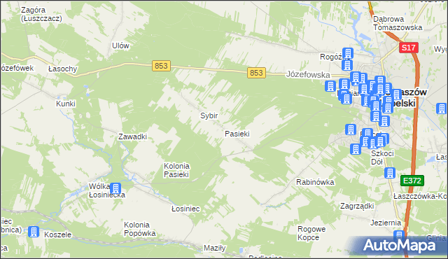 mapa Pasieki gmina Tomaszów Lubelski, Pasieki gmina Tomaszów Lubelski na mapie Targeo