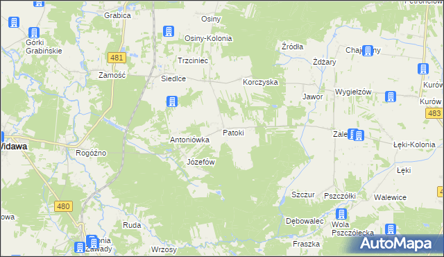 mapa Patoki gmina Widawa, Patoki gmina Widawa na mapie Targeo