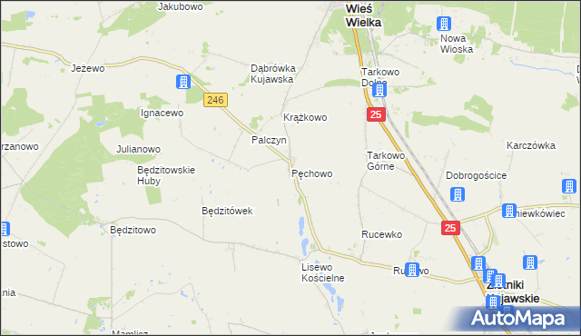 mapa Pęchowo, Pęchowo na mapie Targeo