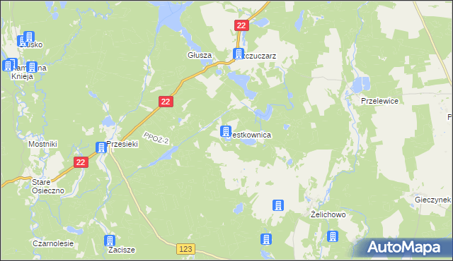 mapa Pestkownica, Pestkownica na mapie Targeo
