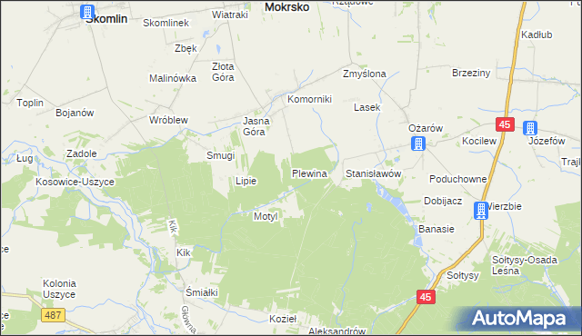 mapa Plewina, Plewina na mapie Targeo