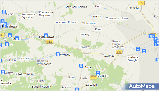 mapa Płowizny, Płowizny na mapie Targeo