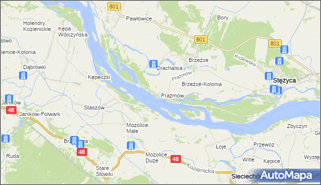 mapa Prażmów gmina Stężyca, Prażmów gmina Stężyca na mapie Targeo