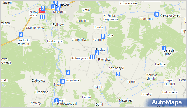 mapa Radoszewice gmina Siemkowice, Radoszewice gmina Siemkowice na mapie Targeo