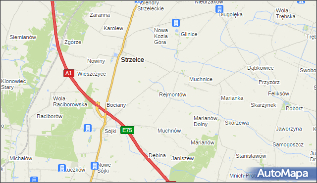 mapa Rejmontów, Rejmontów na mapie Targeo