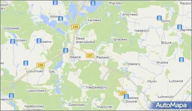 mapa Rejowiec gmina Skoki, Rejowiec gmina Skoki na mapie Targeo