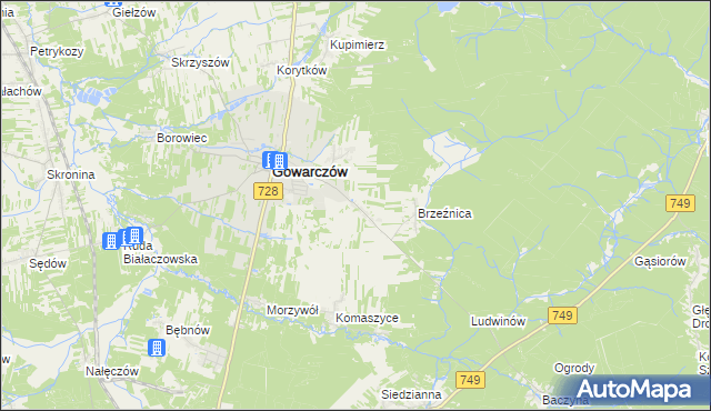 mapa Rogówek gmina Gowarczów, Rogówek gmina Gowarczów na mapie Targeo