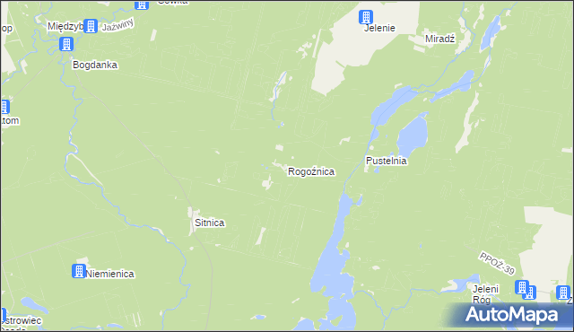 mapa Rogoźnica gmina Drawno, Rogoźnica gmina Drawno na mapie Targeo