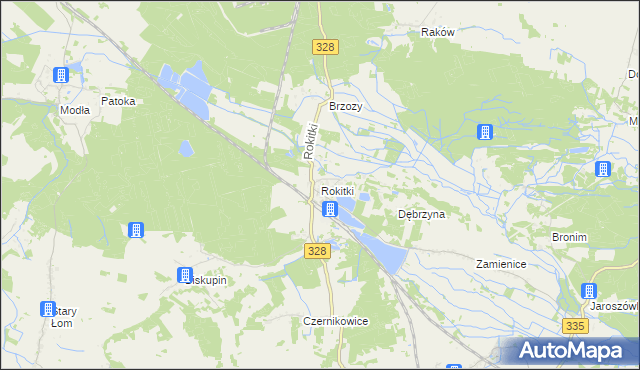 mapa Rokitki gmina Chojnów, Rokitki gmina Chojnów na mapie Targeo