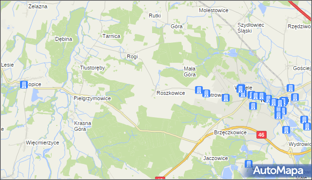 mapa Roszkowice gmina Niemodlin, Roszkowice gmina Niemodlin na mapie Targeo