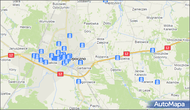 mapa Różanna gmina Opoczno, Różanna gmina Opoczno na mapie Targeo