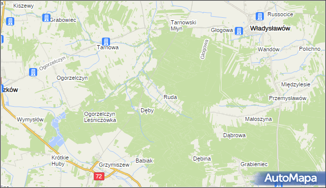 mapa Ruda gmina Tuliszków, Ruda gmina Tuliszków na mapie Targeo