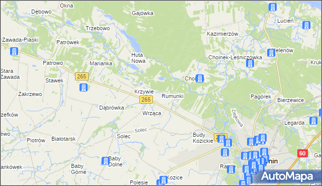 mapa Rumunki gmina Gostynin, Rumunki gmina Gostynin na mapie Targeo