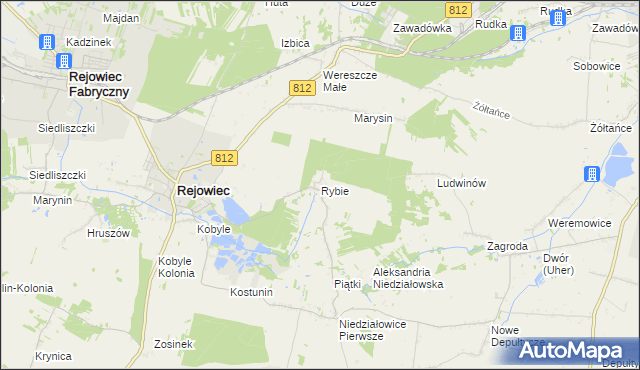 mapa Rybie gmina Rejowiec, Rybie gmina Rejowiec na mapie Targeo