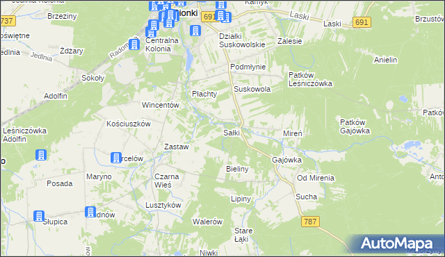 mapa Sałki gmina Pionki, Sałki gmina Pionki na mapie Targeo