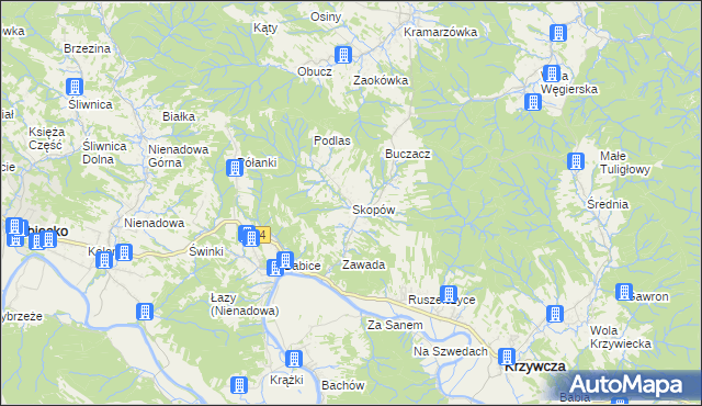 mapa Skopów, Skopów na mapie Targeo