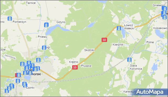mapa Skotniki gmina Kalisz Pomorski, Skotniki gmina Kalisz Pomorski na mapie Targeo