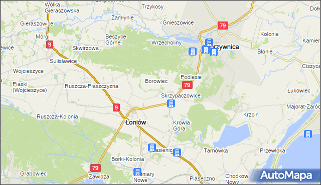 mapa Skrzypaczowice, Skrzypaczowice na mapie Targeo